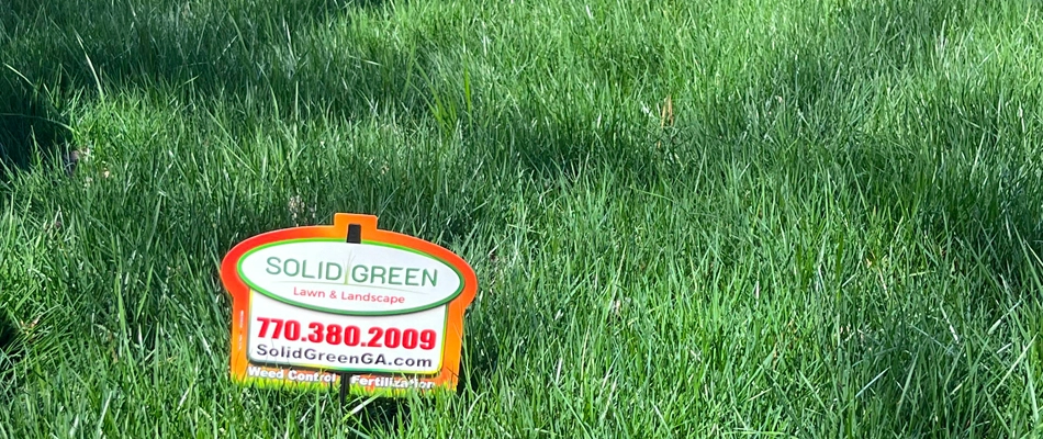 Lawn fertilization program applied to lawns in Bethlehem, GA.