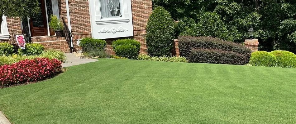 Lush, healthy lawn with nice landscaping on a property in Bethlehem, GA.