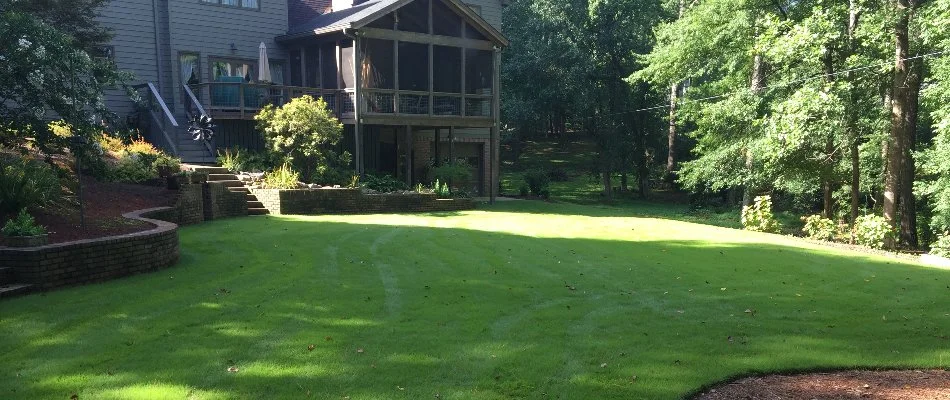 Dense green grass on a residential property in Roswell, GA.