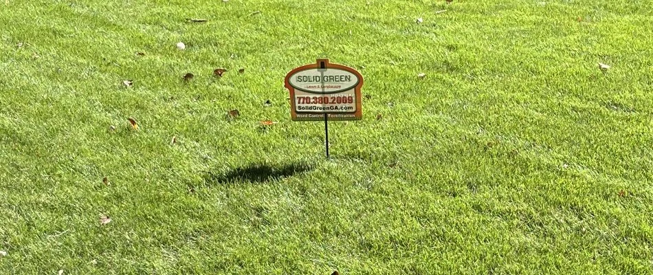 A dense, green yard on a property in Bethlehem, GA, with a yard sign.