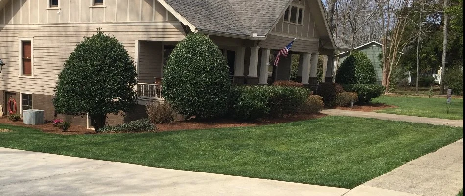 Green grass on a residential property in Winder, GA.