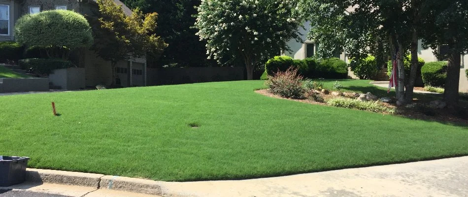 A healthy, green lawn next to a landscape bed in Bogart, GA.