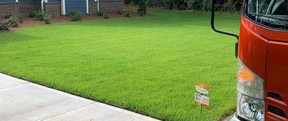 A healthy, green lawn on a property in Athens, GA.