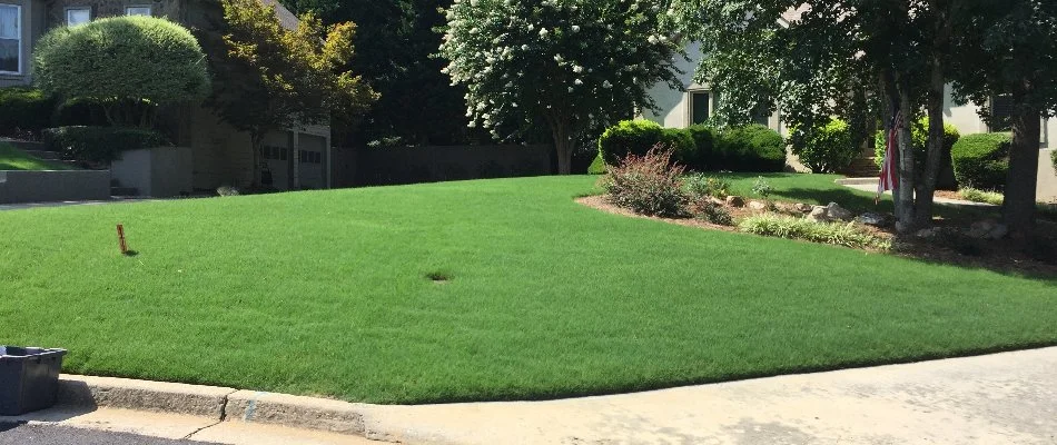 Healthy, green lawn in Hoschton, GA.