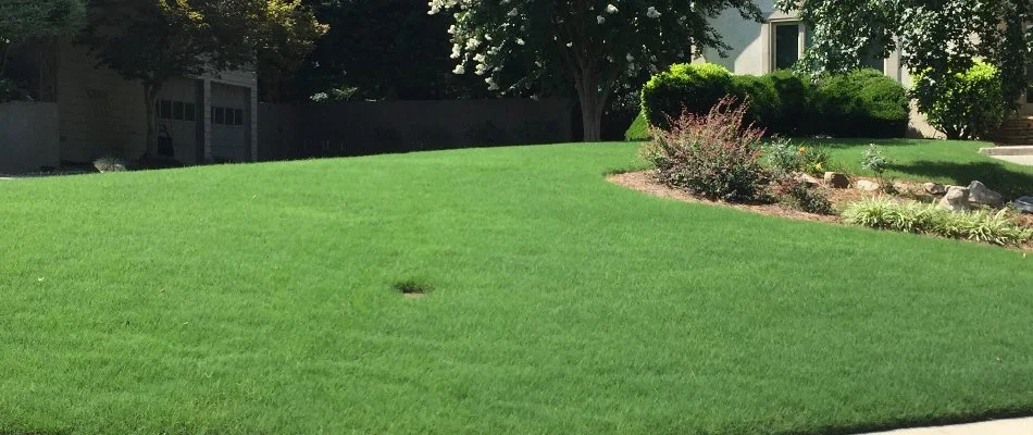 Lush grass in Alpharetta, GA, with a landscape bed.