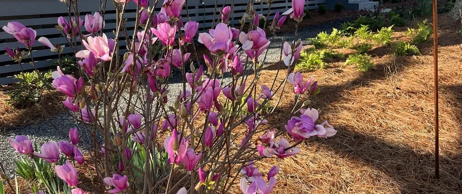 Landscaping at a home in Braselton, GA.