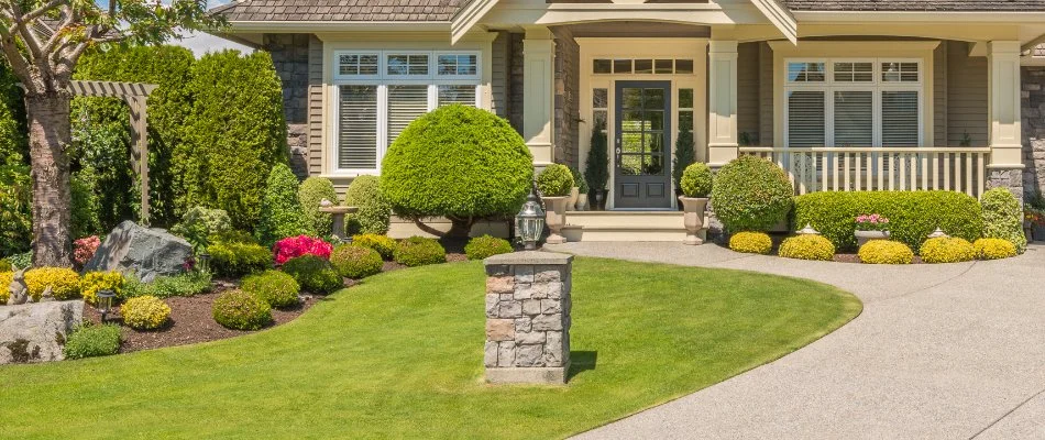 Shrubs on a landscape in Alpharetta, GA.