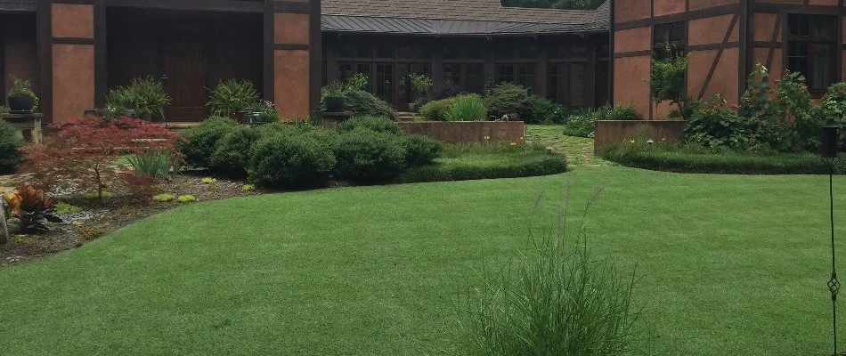 Thick, green lawn on a property in Jefferson, GA.