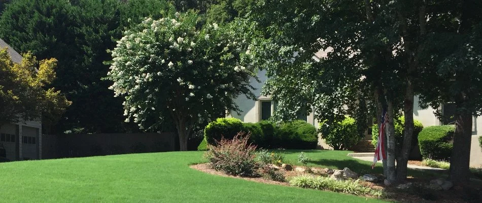 Yard in Jefferson, GA, with trees and shrubs.