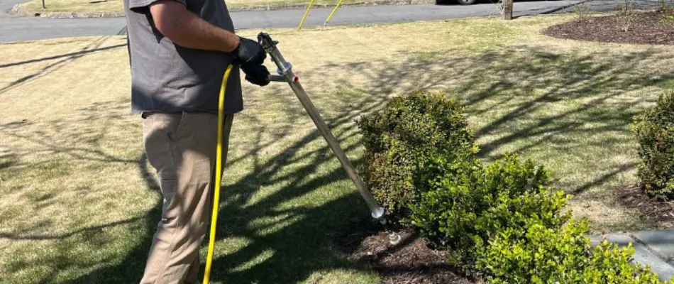 A worker fertilizing shrubs in Monroe, GA.